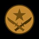 T Icon